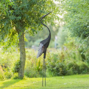 Kroonkraanvogel